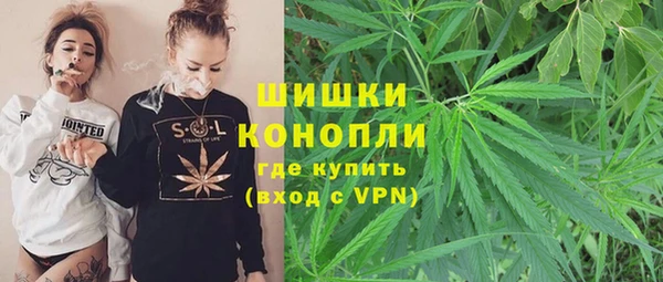 дживик Абинск