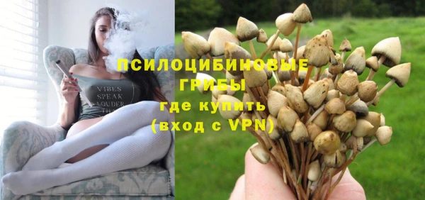 ALPHA-PVP Осинники