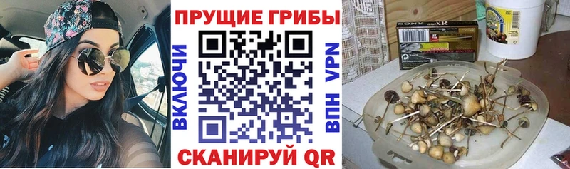 Галлюциногенные грибы GOLDEN TEACHER  закладка  mega зеркало  Апрелевка 